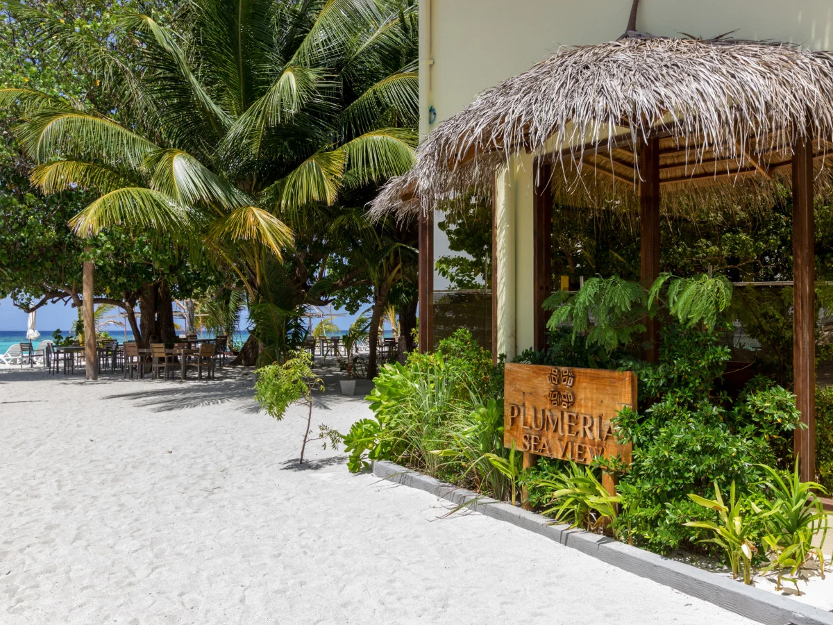 Plumeria Maldives
